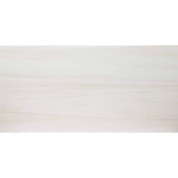 Eden Dolomite 24 In. X 48 In.Matte Porcelain Floor And Wall Tile, 2PK